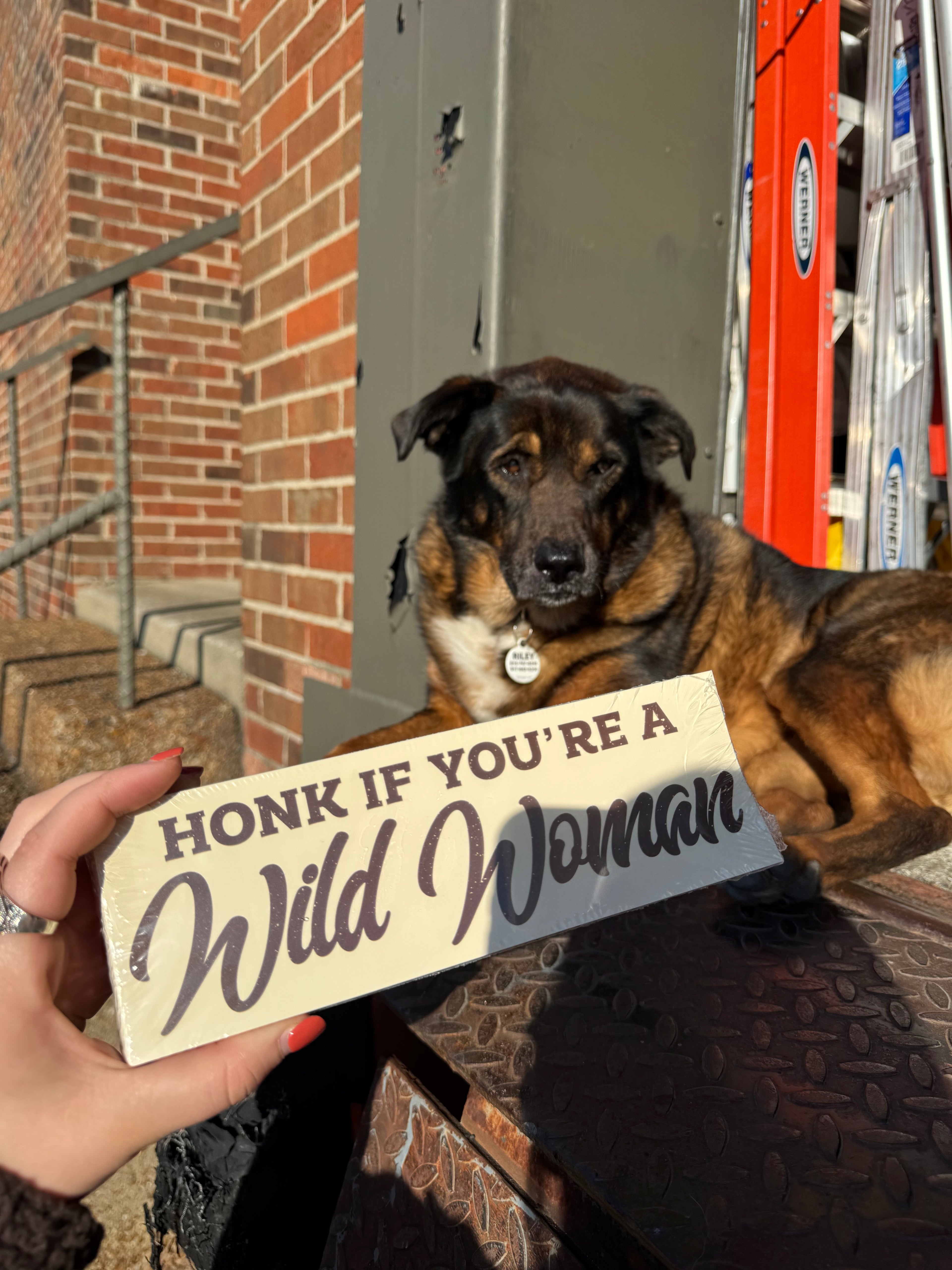 Wild Women Bumper Sticker